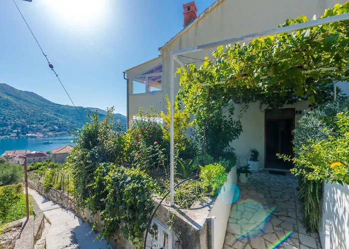 Gordana Zaton (Dubrovnik-Neretva)